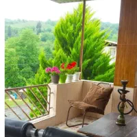 سوئت-دربست-با-ویو-جنگل