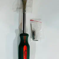 پیچگوشتی خاردرار هنس اصلی