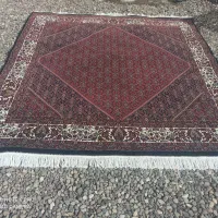 فرش ریزه ماهی