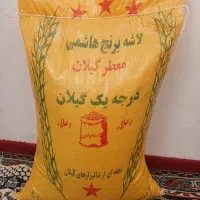 برنج گیلان