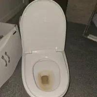 توالت فرنگی