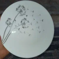 یک دست کامل آرکوپال