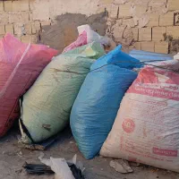 تعداد 8تا10تا‌ کود کبوتر|خدمات باغبانی و درختکاری|تربت‌حیدریه, فتح المبین|دیوار