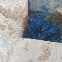 دنبال خونه اجاره ای هستم