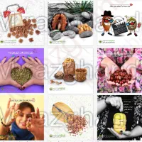 گرافیست حرفه ای دورکار هستم.عکسها نمونه کار خودمه|خدمات رایانهای و موبایل|تهران, نارمک|دیوار