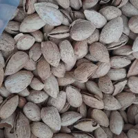 بادام منقا زرین|خوردنی و آشامیدنی|مشگین شهر, |دیوار