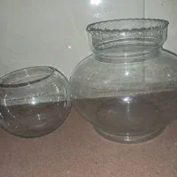 آکواریوم|ماهی|شیراز, تندگویان|دیوار