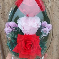 * فلاکسی تخم مرغی متوسط * ارسال به سراسر ایران *