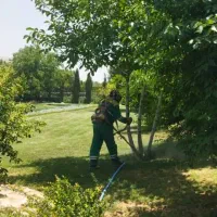 نیروی کارگرفضای سبزآشنابه دستگاه علفزن و آبیاری