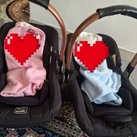 کریر دوقلو