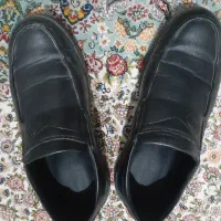 ۷ جفت کفش مجلسی مردانه و یک جفت زنانه سالم