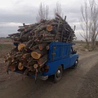 خرید انواع چوب