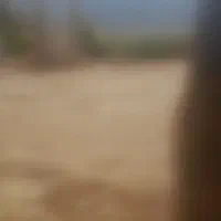 اجاره ۶هکتار زمین با چاه برقی۵ اینچ اب