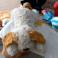 انواع وسایل بچه مثل روروک...کیسه خواب واسباب بازی|اسباب و اثاث بچه|سبزوار, سیادتی|دیوار