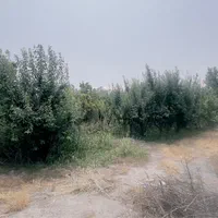 ۱۰۰۰متر باغ با حدود ۳۰۰ متر بنای قدیمی ونامه جهاد|فروش خانه و ویلا|شهریار, کهنز|دیوار