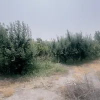 ۱۰۰۰متر باغ با حدود ۳۰۰ متر بنای قدیمی ونامه جهاد|فروش خانه و ویلا|شهریار, |دیوار