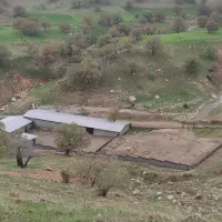 فروش واحد دامداری صنعتی ۵۰۰ راسی بره