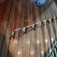 سنتور وزیری