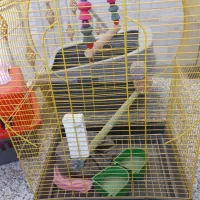 باکس سگ یا گربه و قفس پرنده