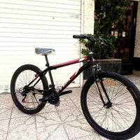 دوچرخه ۲۶ کلاسیک ویوا نو اکبند