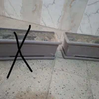 تعدادی گلدان