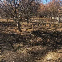 زمین ویلایی|فروش زمین و ملک کلنگی|سیلوانه, |دیوار