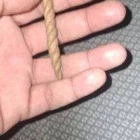 عرج سواحل برای زیاد شدن روزی