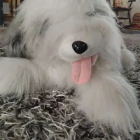 اسباب بازی|اسباببازی بچه|تبریز, |دیوار