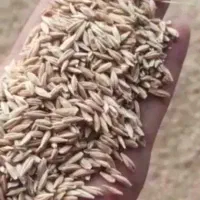 جو درجه 1
