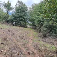 ۱۰۰۰متر زمین جیرمحله طالکوه جنگلی|فروش زمین و ملک کلنگی|برهسر, |دیوار