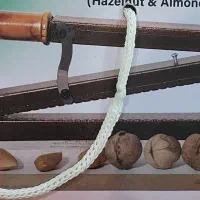گردو شکن