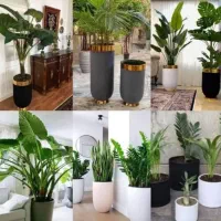 خدمات باغبانی گلکاری هرس کاری تعویض خاک گلدان|خدمات باغبانی و درختکاری|پردیس, فاز ۸|دیوار