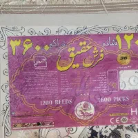 فرش|فرش|ایلام, |دیوار