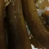 خیار شور ترد