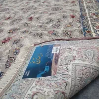 فرش ۶ متری آکبند، لی رز فیلی|فرش|قم, شاه ابراهیم|دیوار