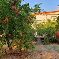 باغ ویلا ۱۲۰۰ متری شاهینشهر جهادآباد فروش و معاوضه