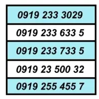 0919.493.23.83|سیم‌کارت|کرج, عظیمیه|دیوار