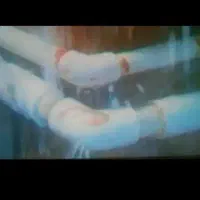 نشت یابی رفع نم و رطوبت بدون خرابی با ضمانت