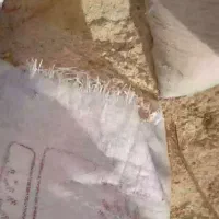 خاک اره صنوبر و صنوبر و راش
