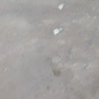 نظافت منزل باغچه حیاط خلوت آپارتمان راه‌ پله