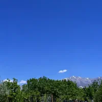 ۱۰۰۰متر باغچه ، سند تکبرگ باجواز ساخت و کنتور برق