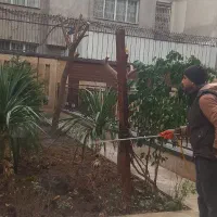 باغبانی ودرختکاری حرس کاری