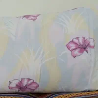 12عدد بالشت