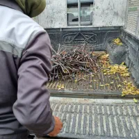 ه دیزی|عمده‌فروشی|تهران, جوادیه|دیوار