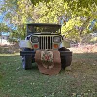 جیپ صحرا 220میلیون|خودرو سواری و وانت|سیرجان, |دیوار