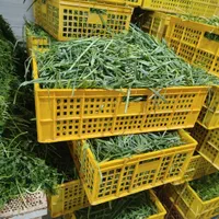 سبزی پاک شده وشسته شده