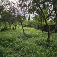 فروش زمین ۴۰۰۰ متری بنای قابل استفاده امتیازات کال|فروش زمین و ملک کلنگی|چابکسر, |دیوار