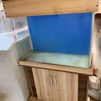 آکواریوم شیشه خم