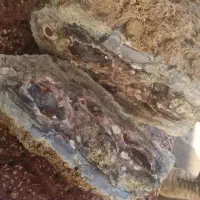 سنگ قیمتی عقیق|جواهرات|هشترود, |دیوار