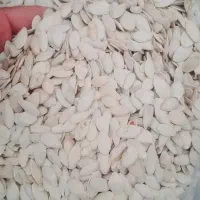 تخمه آجیلی|خوردنی و آشامیدنی|شاهین دژ, |دیوار